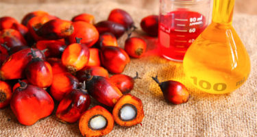 Пальмовое масло: так ли страшен черт, как его малюют?